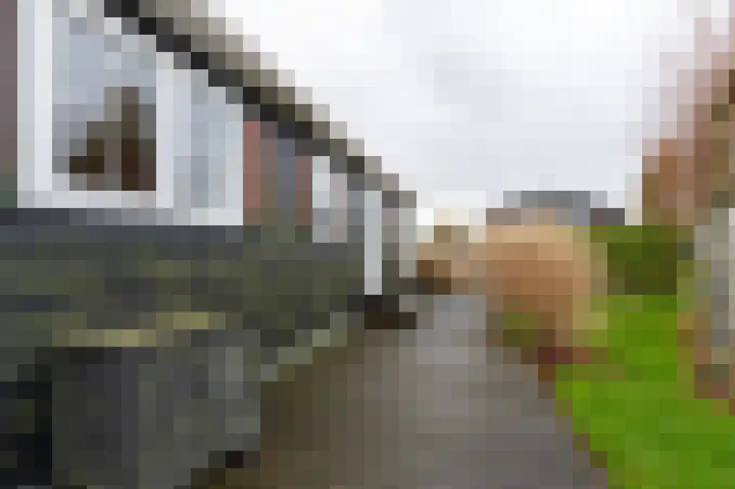 Binnenpad 33 a 18 Giethoorn thumbnail 25