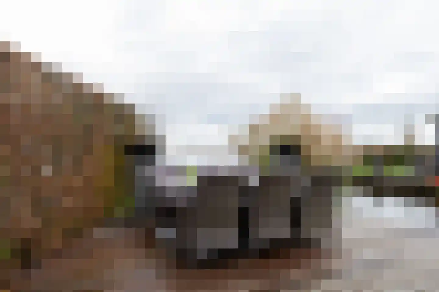 Binnenpad 33 a 18 Giethoorn thumbnail 27