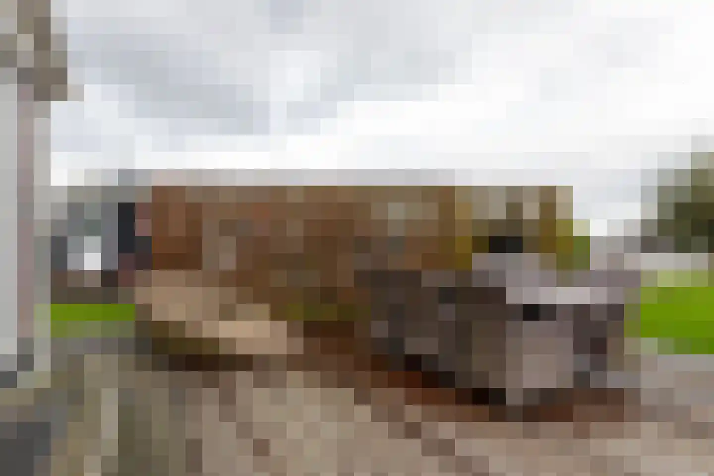 Binnenpad 33 a 18 Giethoorn thumbnail 28