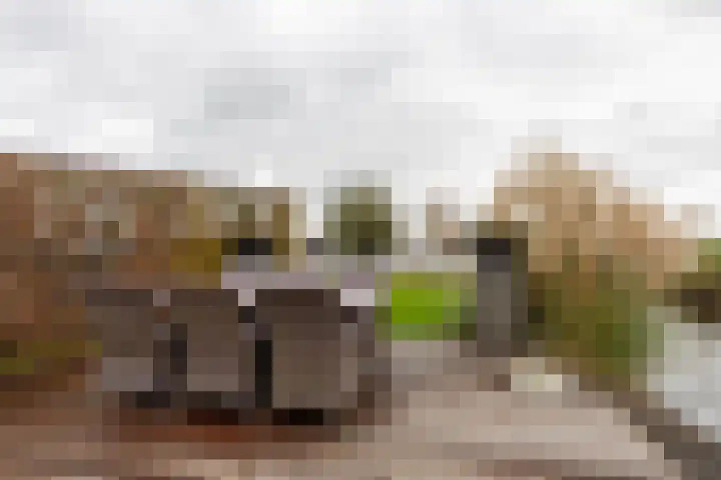 Binnenpad 33 a 18 Giethoorn thumbnail 29