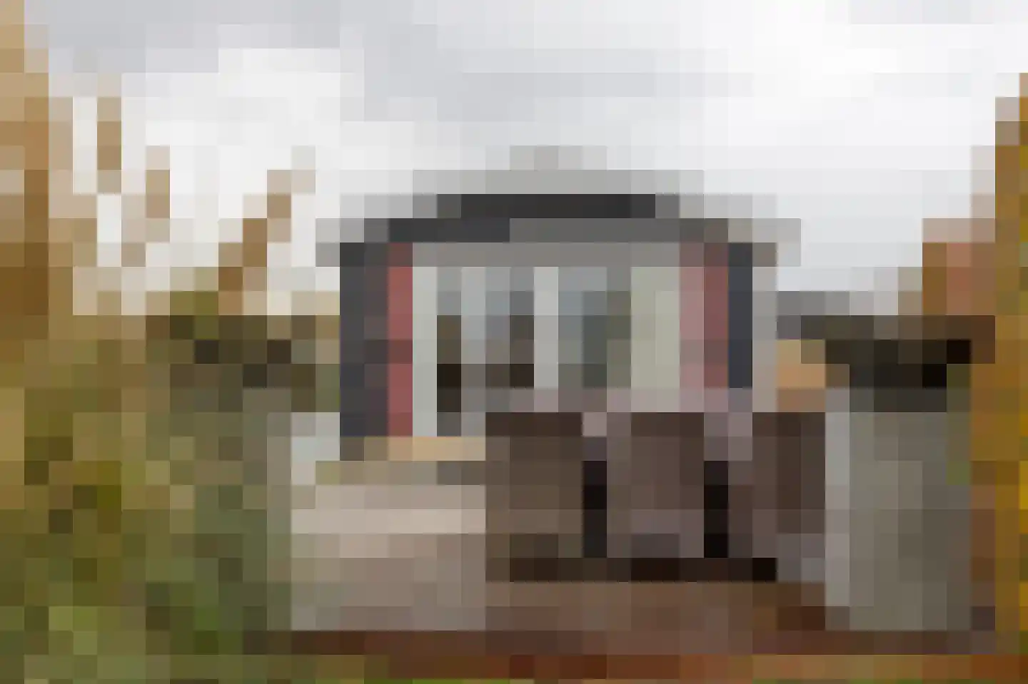 Binnenpad 33 a 18 Giethoorn thumbnail 30