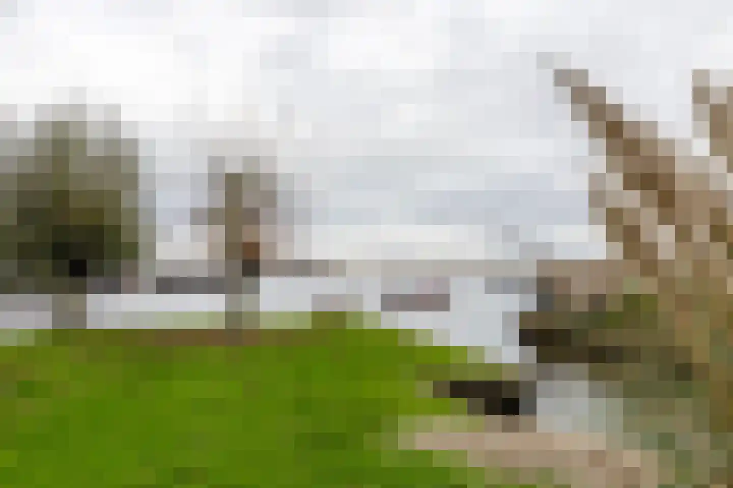 Binnenpad 33 a 18 Giethoorn thumbnail 31