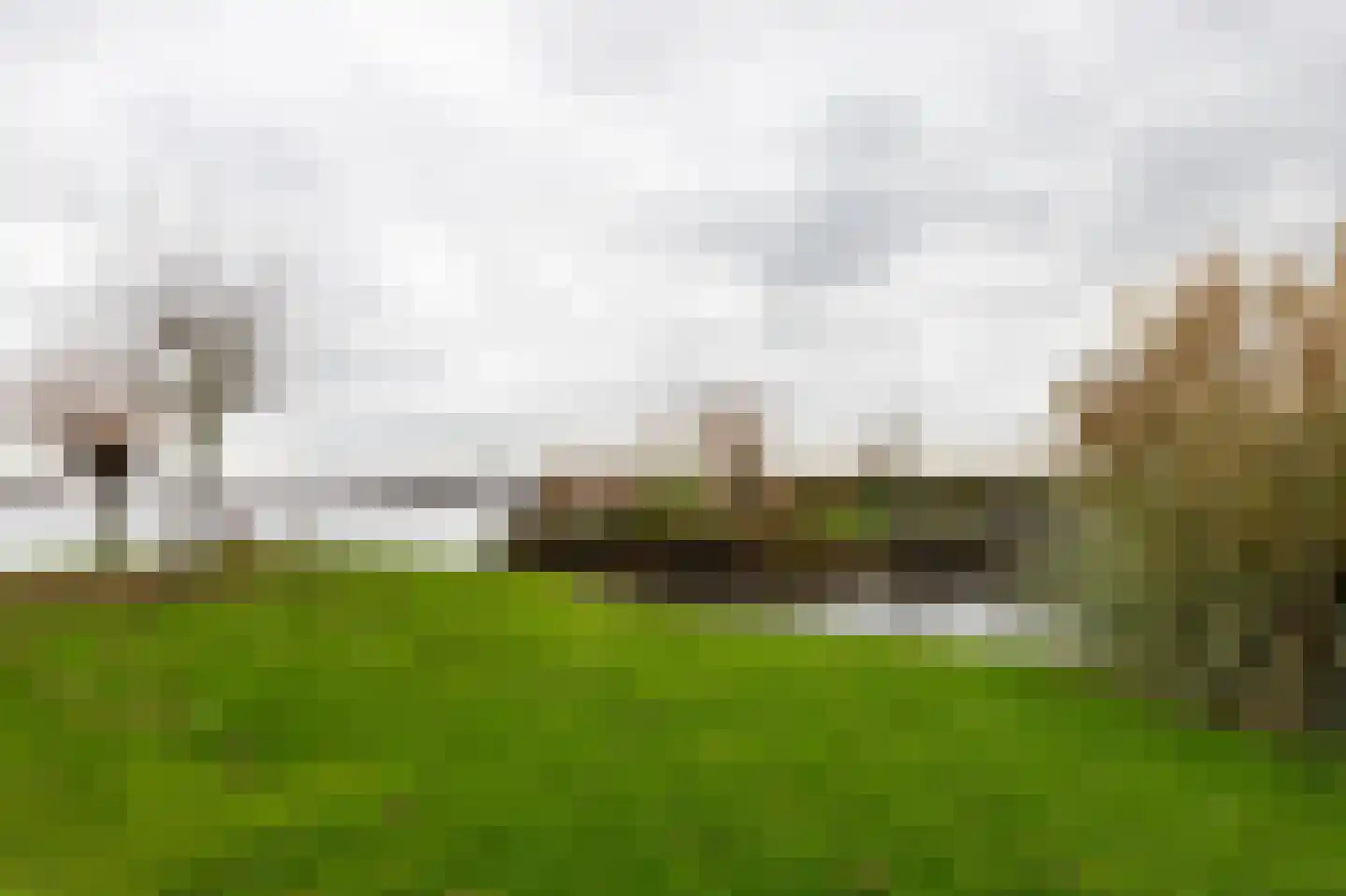Binnenpad 33 a 18 Giethoorn thumbnail 32