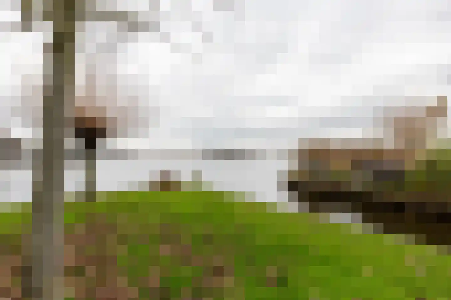 Binnenpad 33 a 18 Giethoorn thumbnail 33