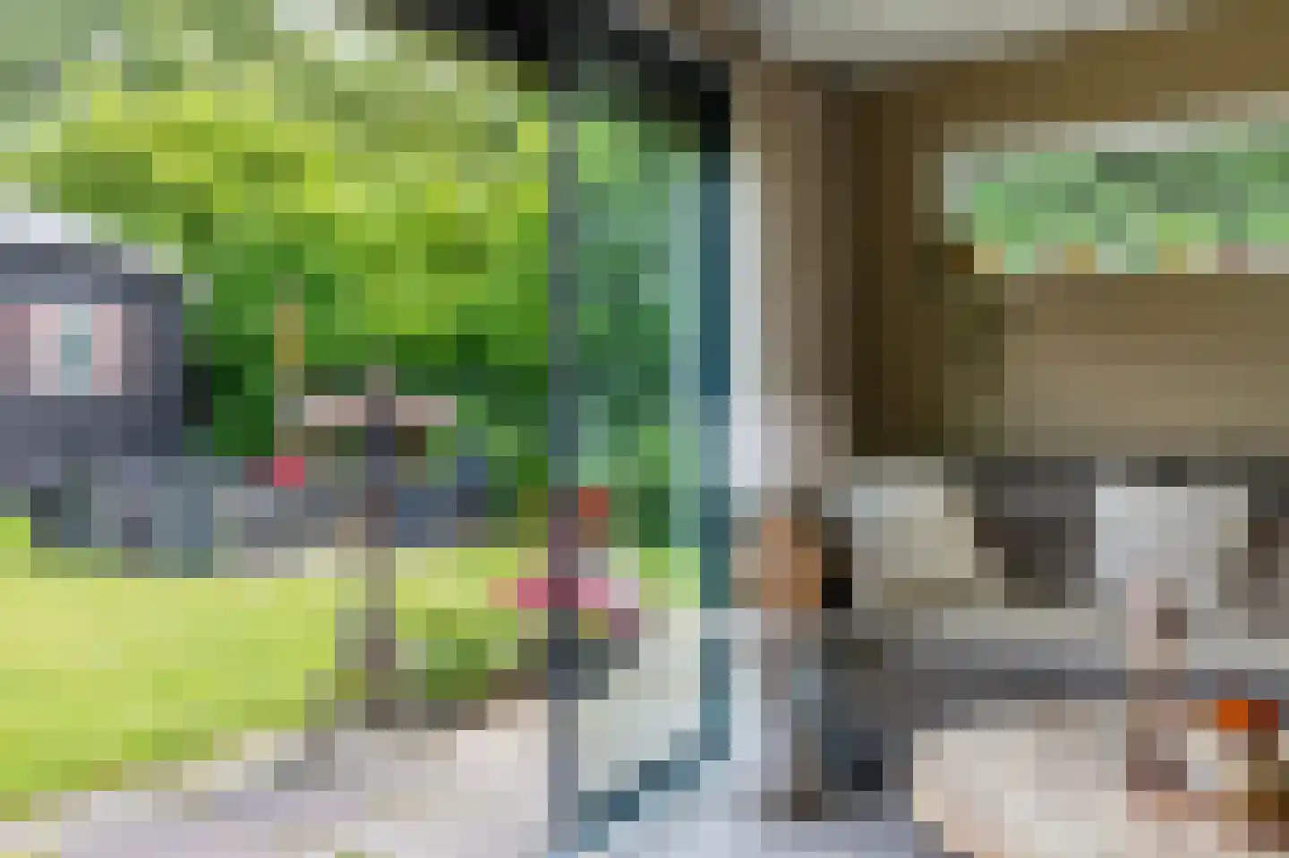 Binnenpad 33 a 33 Giethoorn thumbnail 32