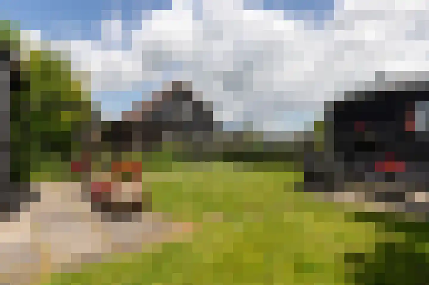 Binnenpad 33 a 33 Giethoorn thumbnail 36