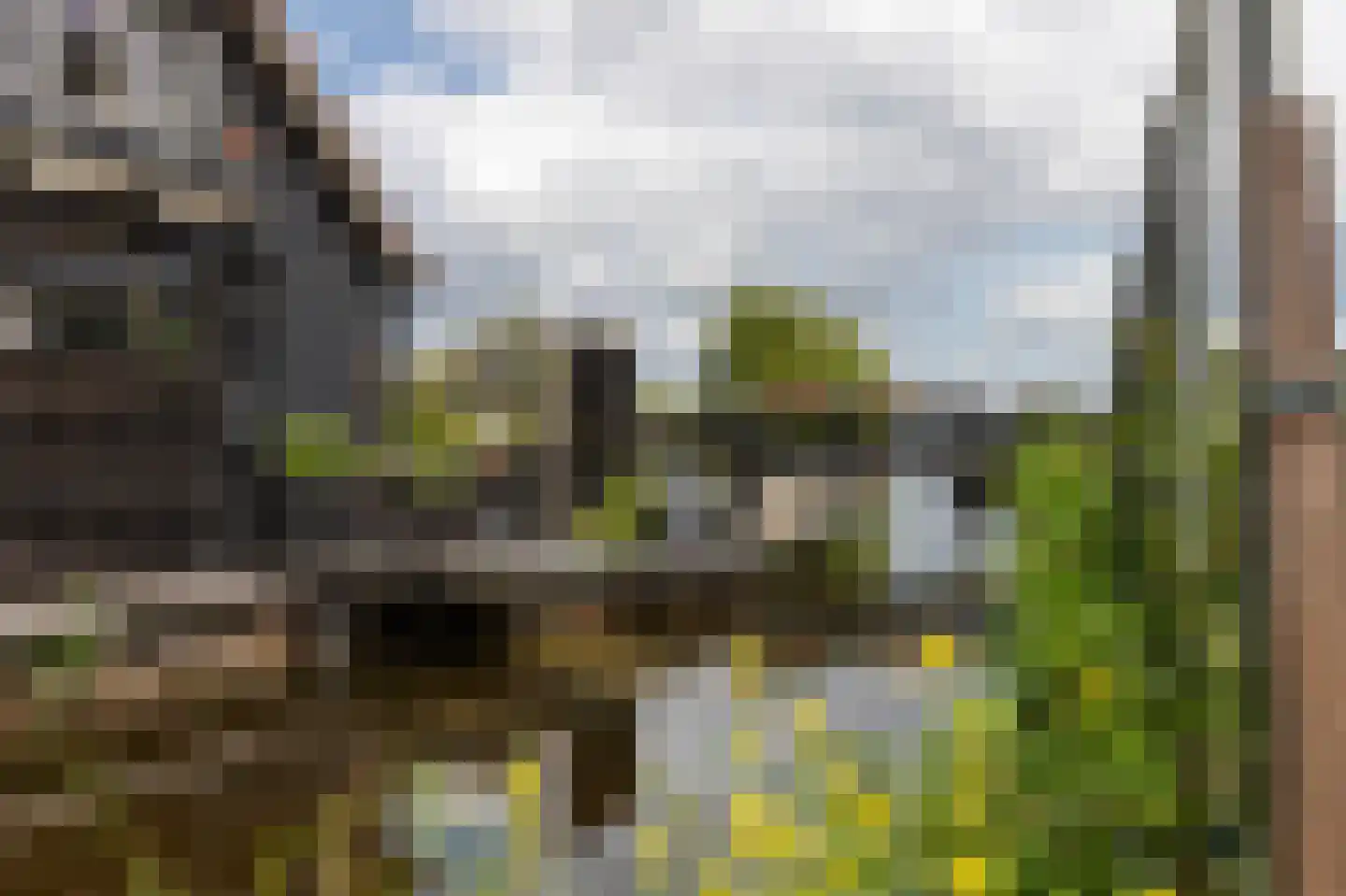Binnenpad 33 a 33 Giethoorn thumbnail 4