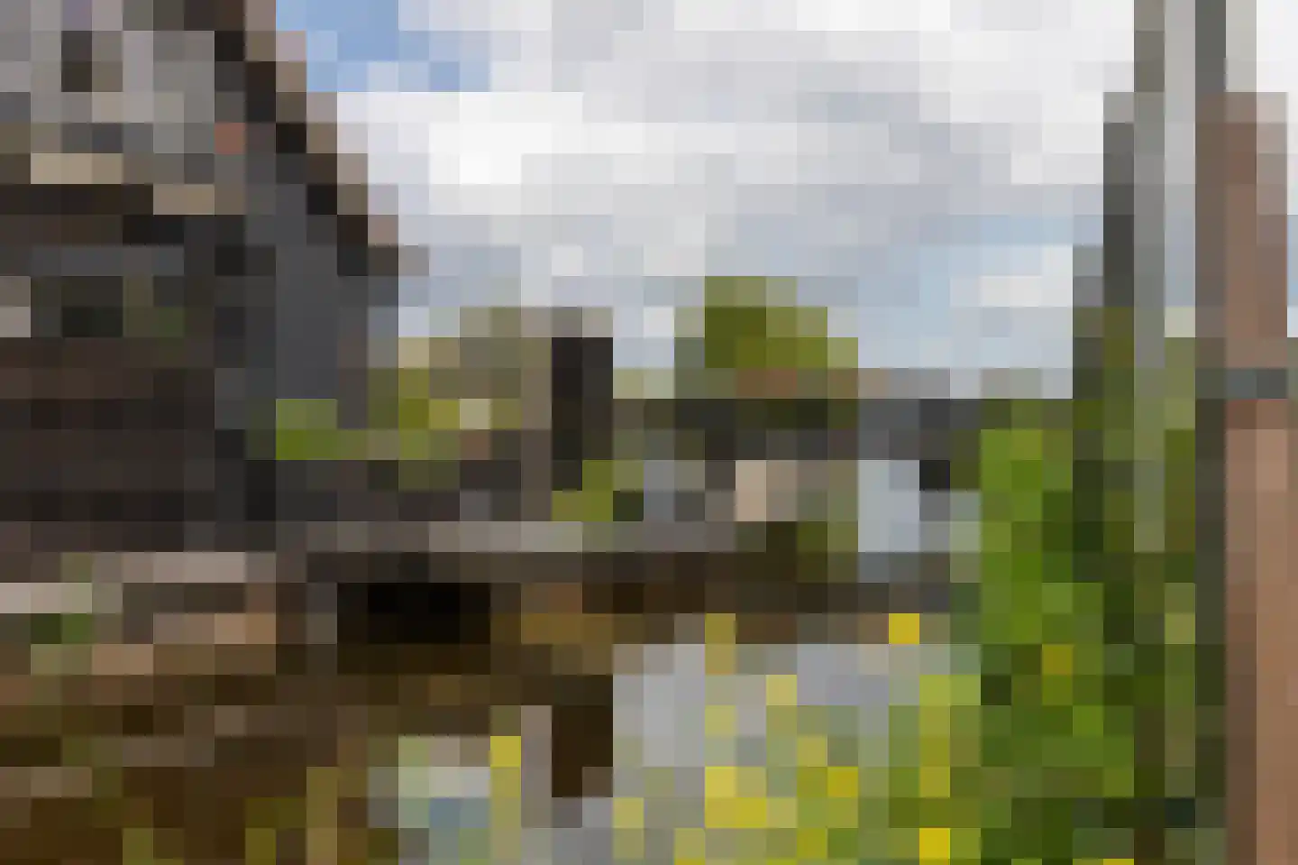 Binnenpad 33 a 33 Giethoorn thumbnail 44