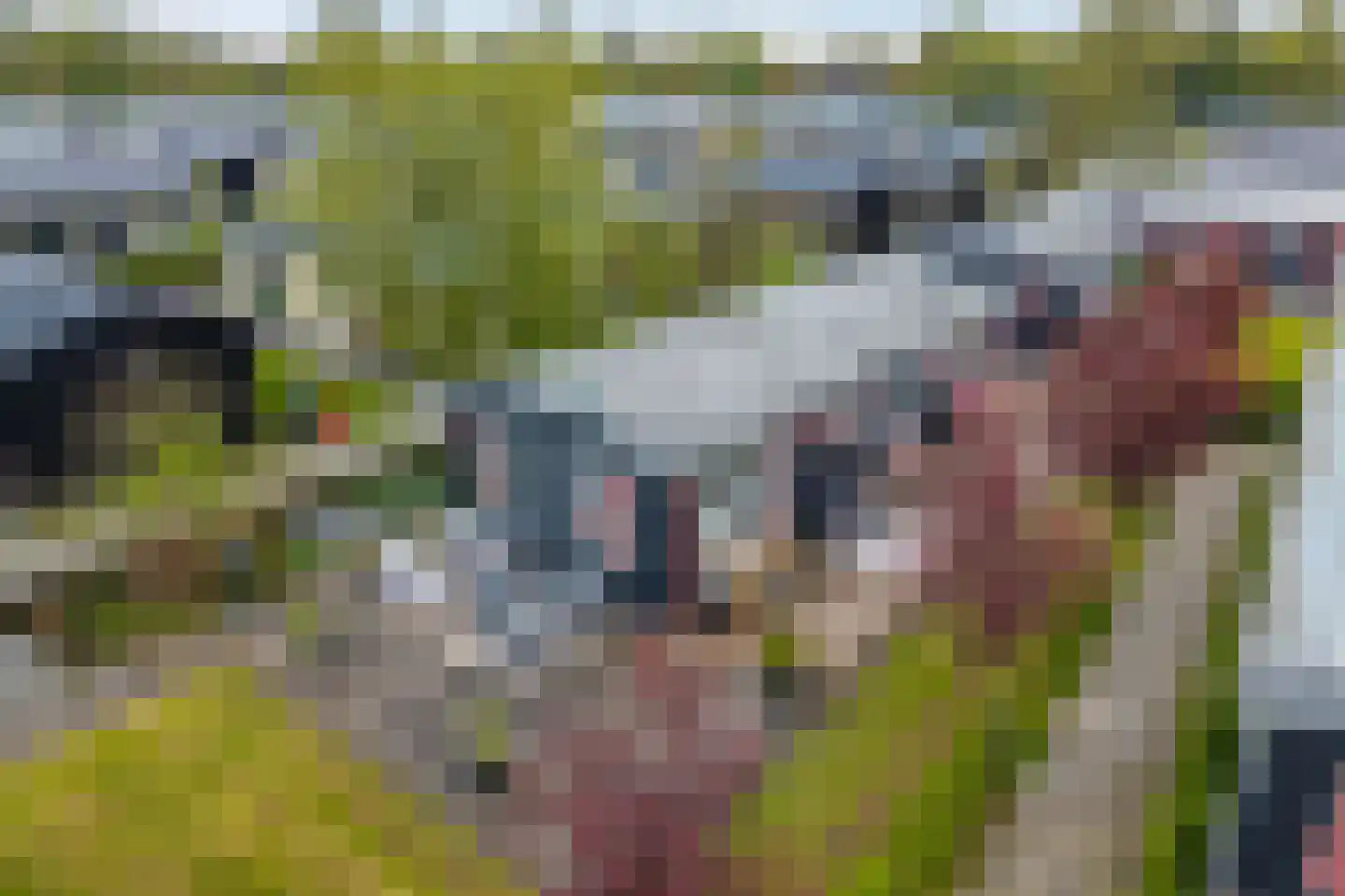 Binnenpad 33 a 46 Giethoorn thumbnail 32