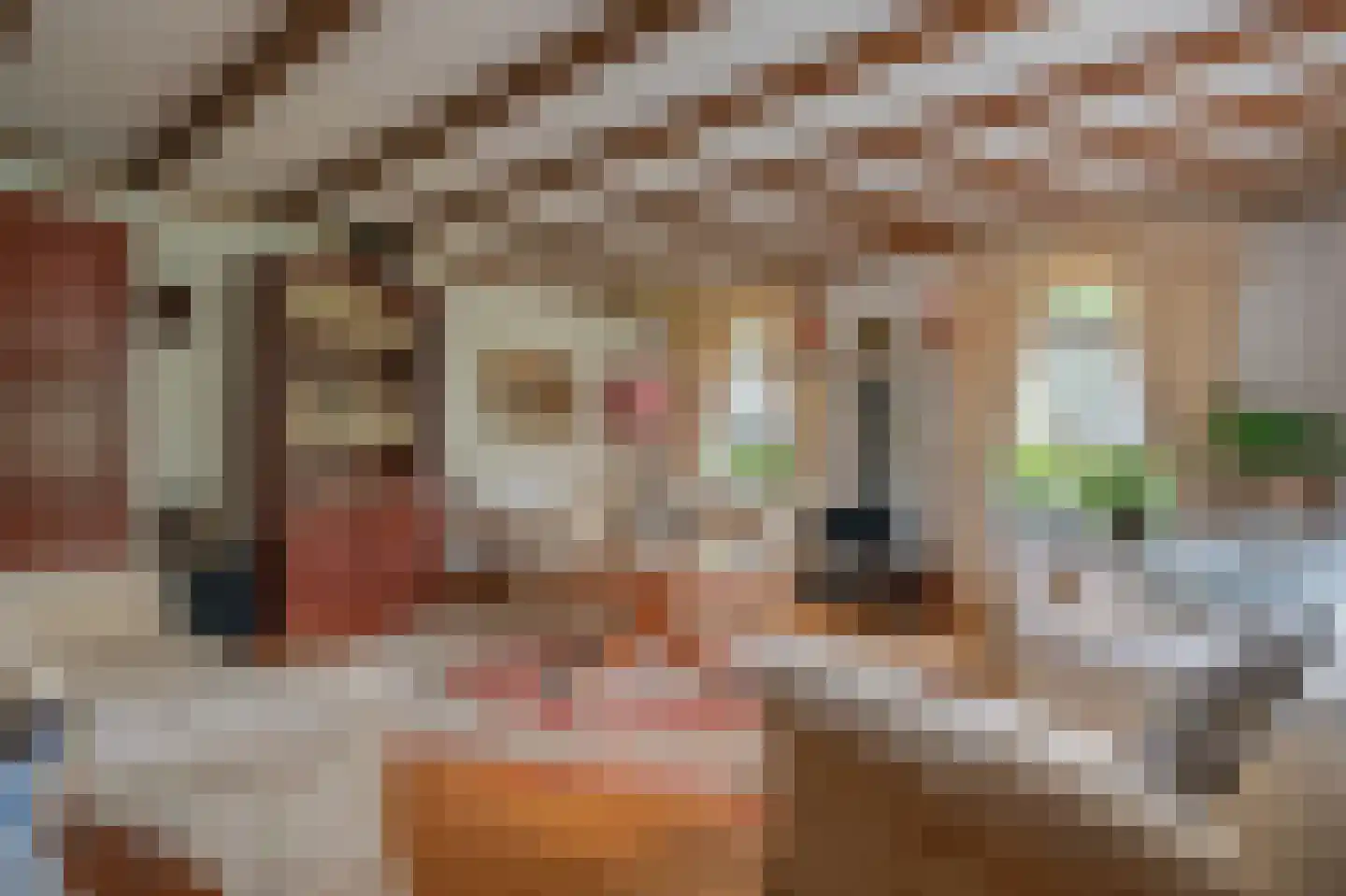 Binnenpad 38 Giethoorn thumbnail 13