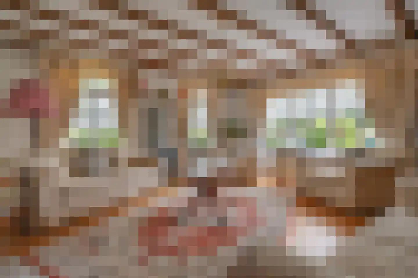 Binnenpad 38 Giethoorn thumbnail 14