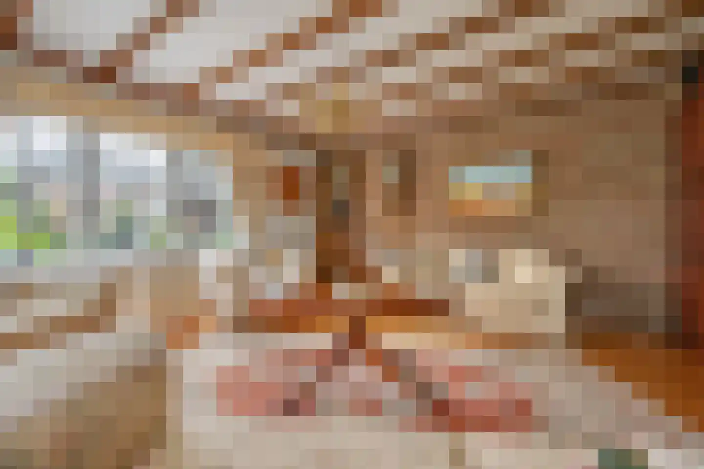 Binnenpad 38 Giethoorn thumbnail 23