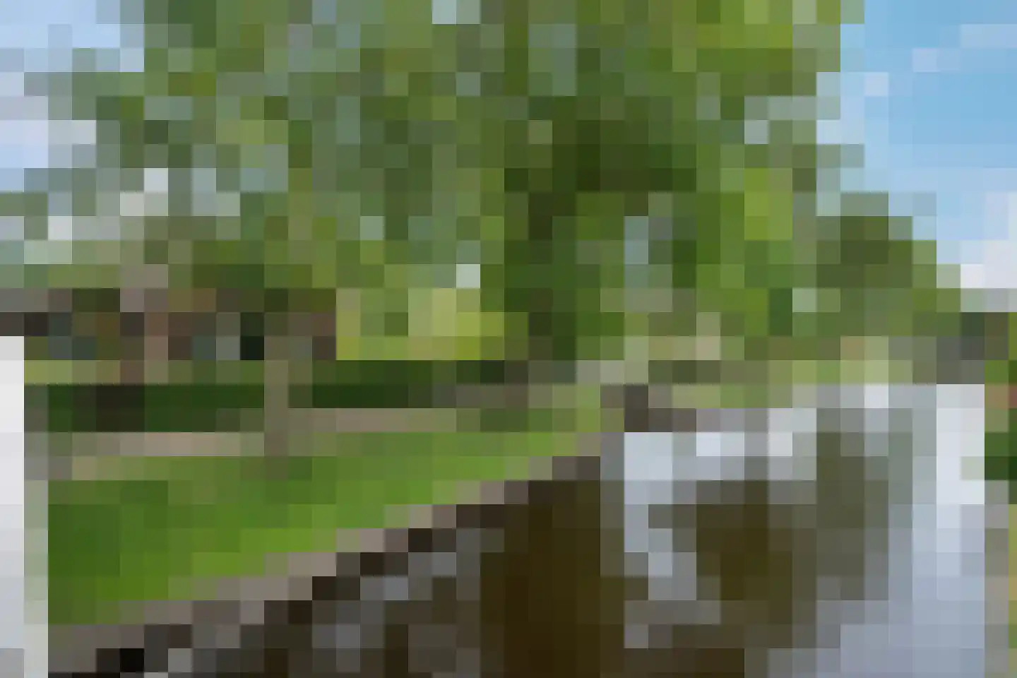 Binnenpad 38 Giethoorn thumbnail 34