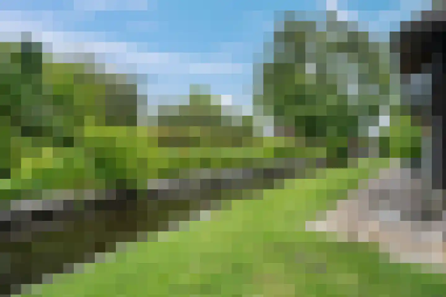 Binnenpad 38 Giethoorn thumbnail 35