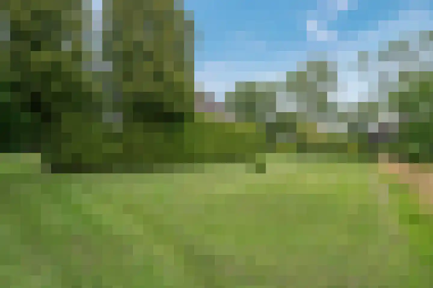 Binnenpad 38 Giethoorn thumbnail 42