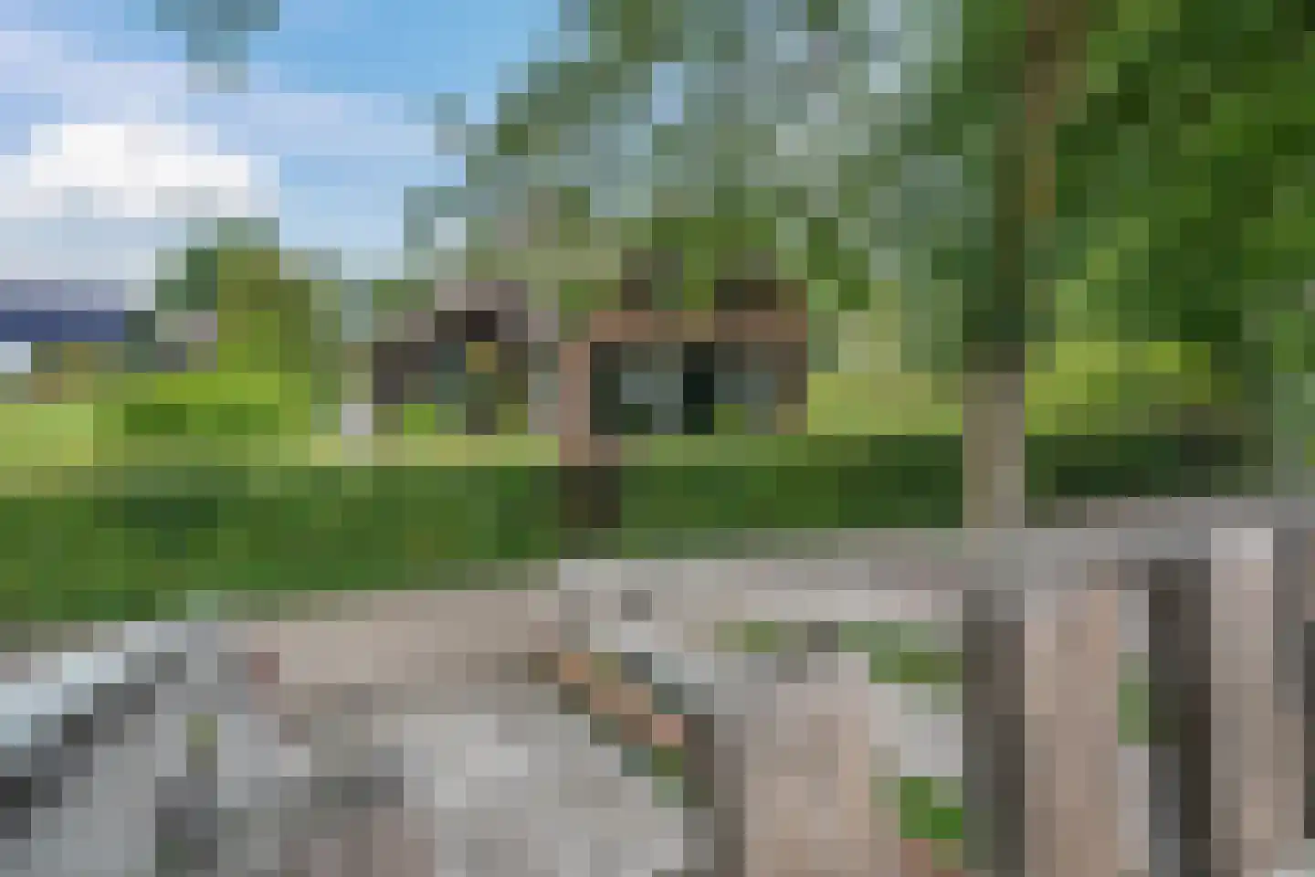 Binnenpad 38 Giethoorn thumbnail 5