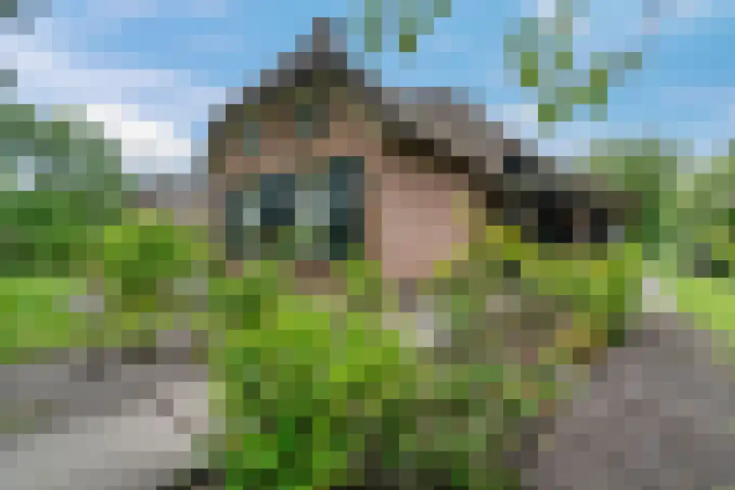 Binnenpad 38 Giethoorn thumbnail 7