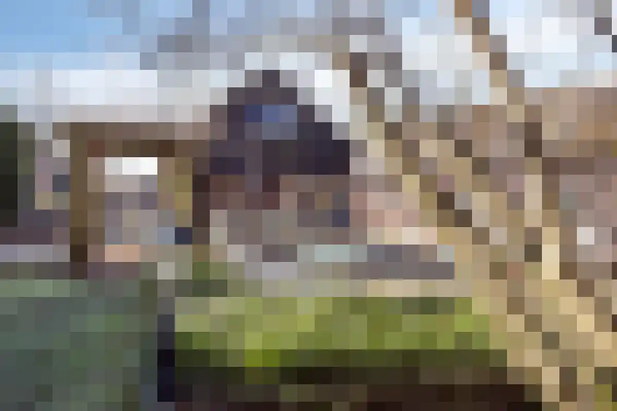 Binnenpad 39 Giethoorn thumbnail 21