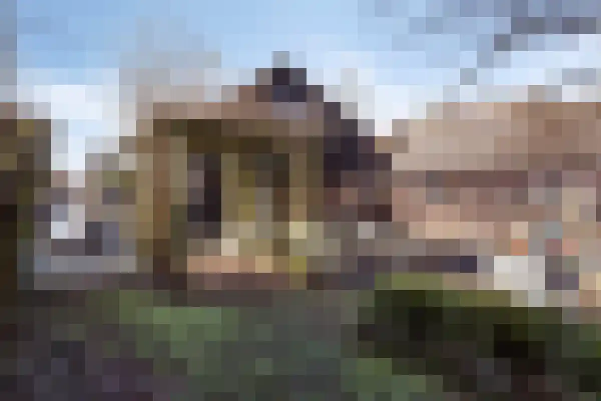 Binnenpad 39 Giethoorn thumbnail 22