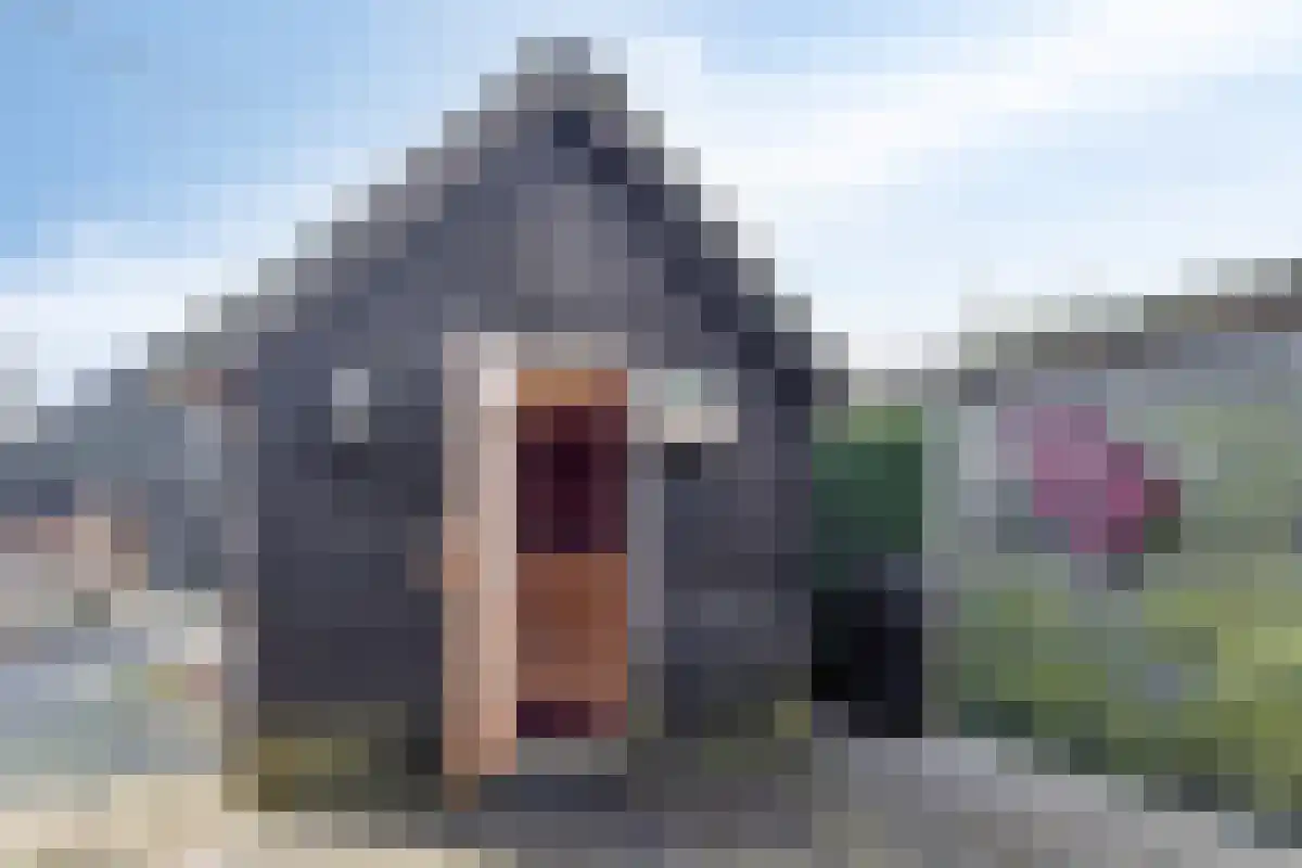 Binnenpad 39 Giethoorn thumbnail 23