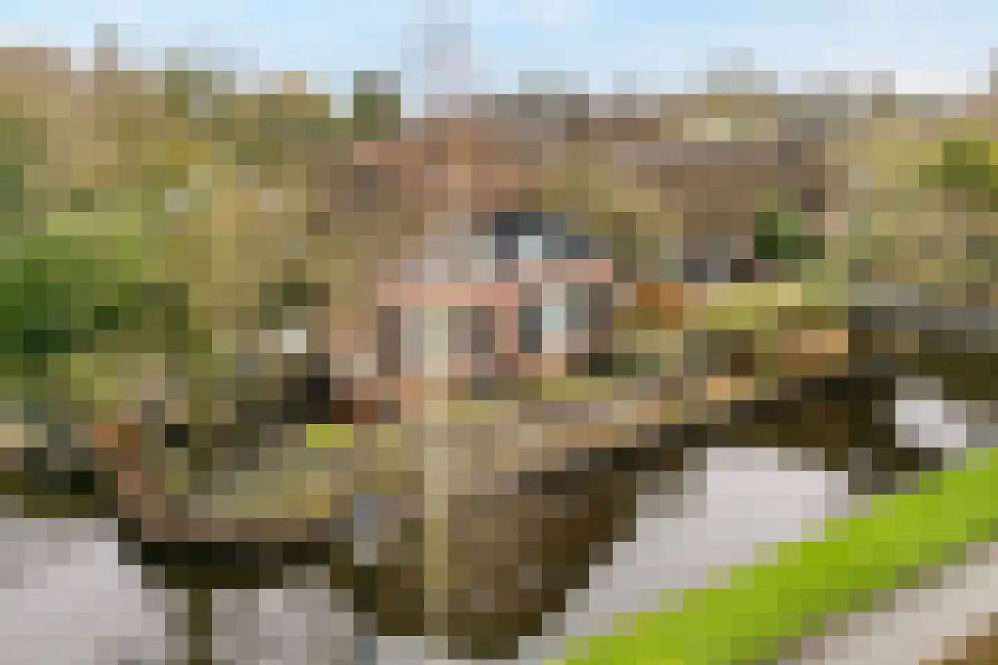 Binnenpad 41 Giethoorn