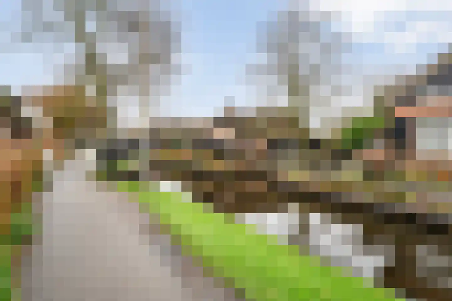 Binnenpad 41 Giethoorn foto 2