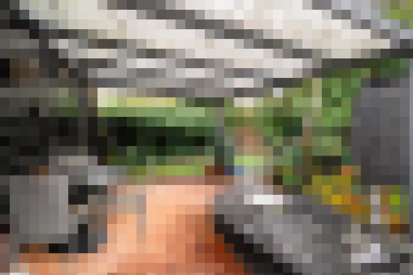 Binnenpad 41 Giethoorn thumbnail 5