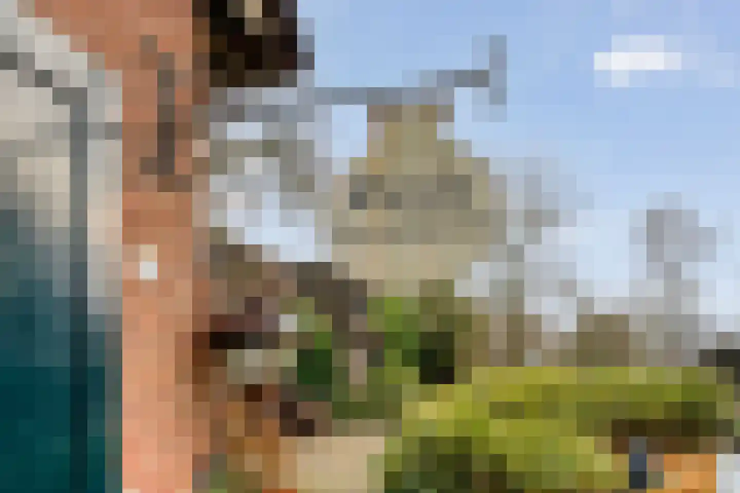 Binnenpad 41 Giethoorn thumbnail 63