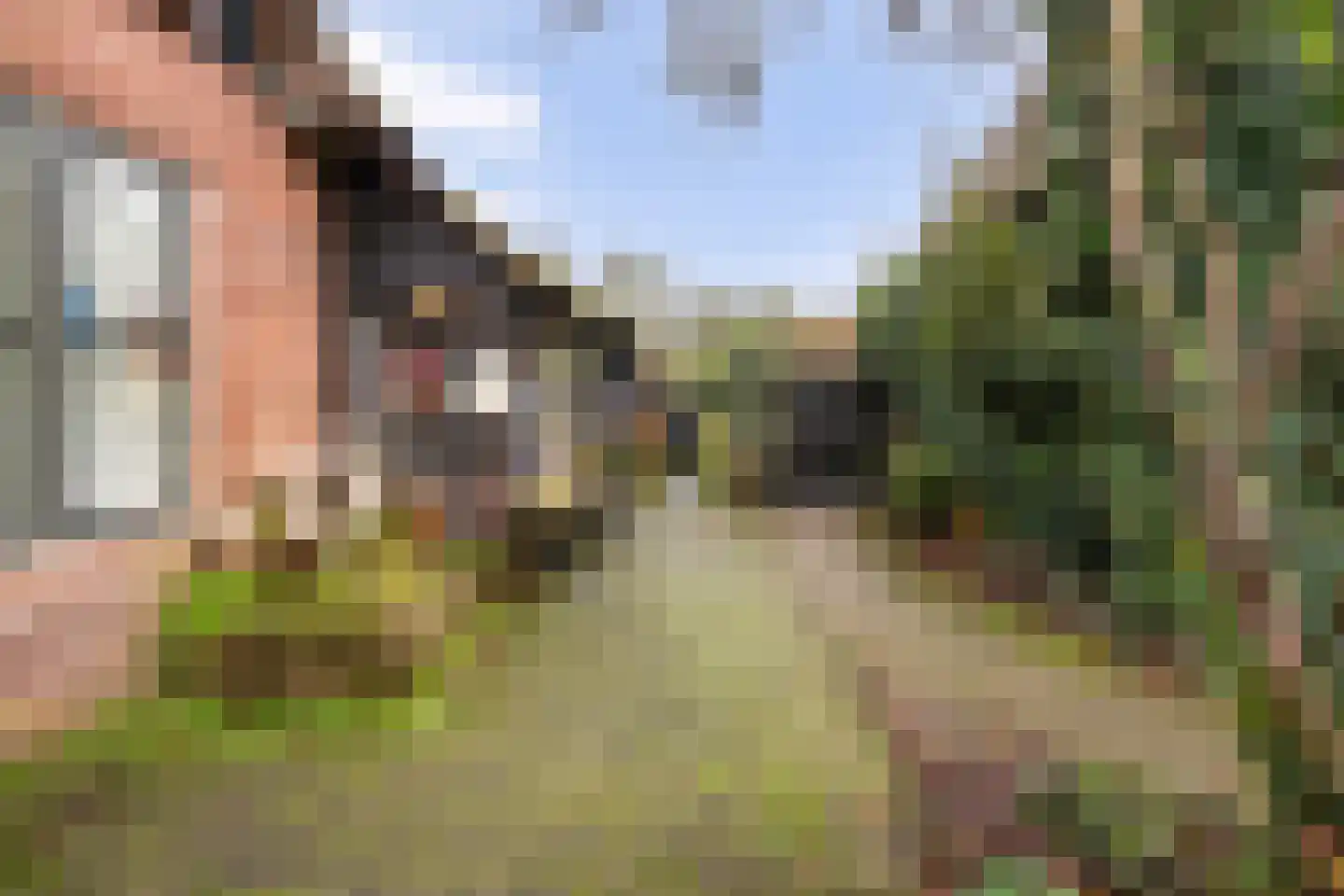 Binnenpad 41 Giethoorn thumbnail 65