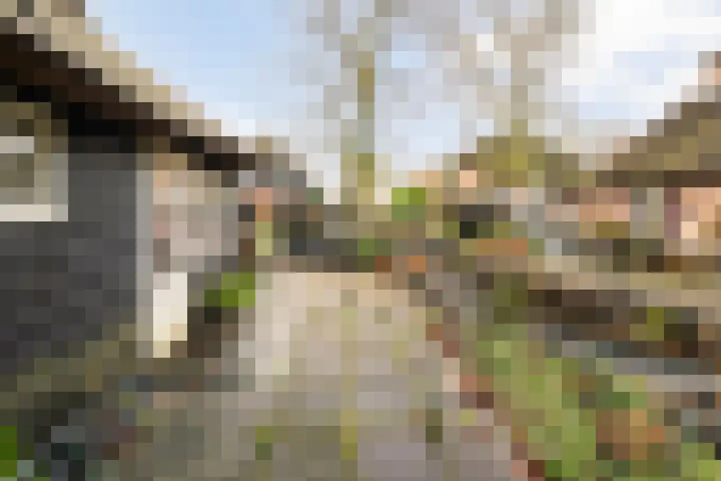 Binnenpad 41 Giethoorn thumbnail 66