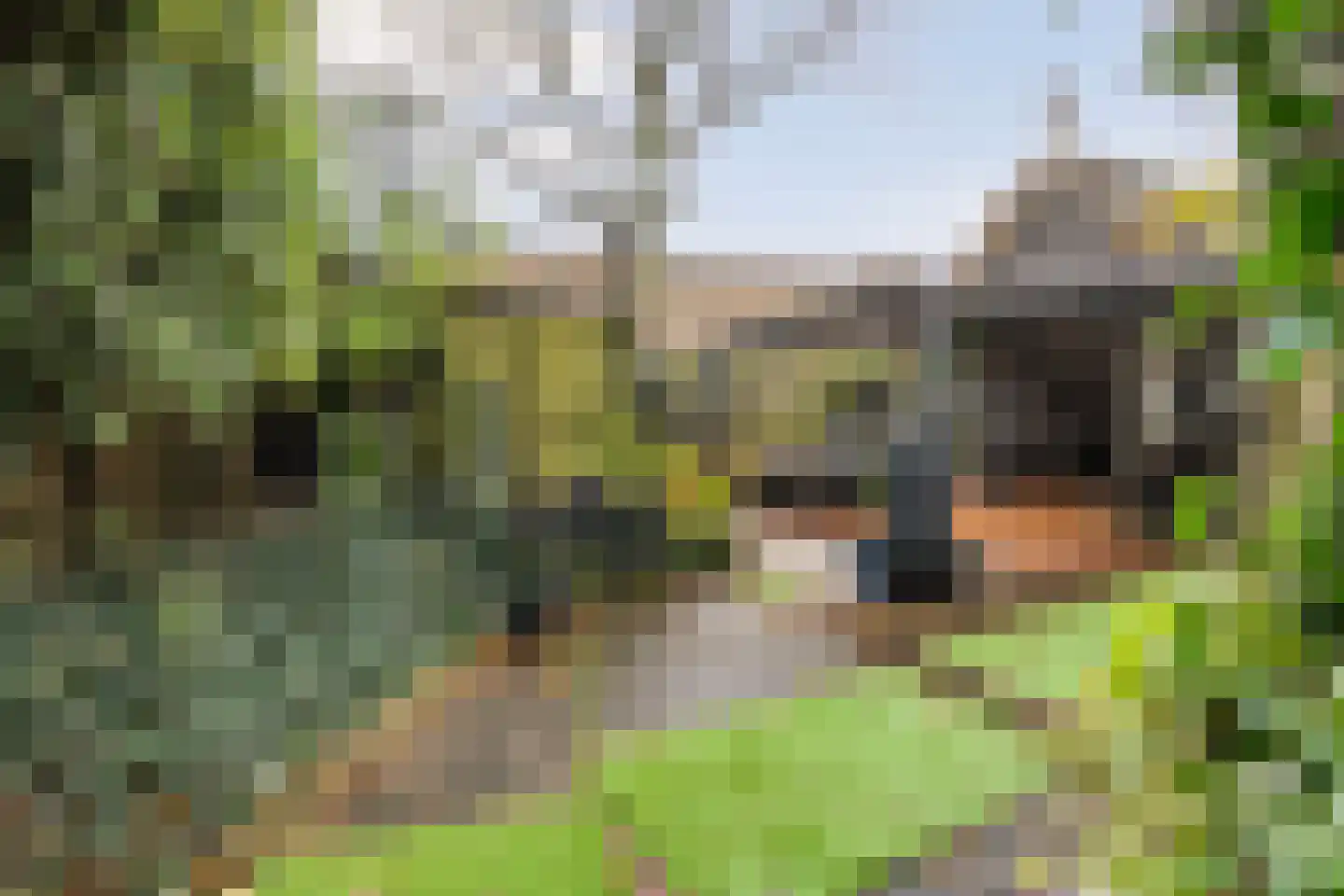 Binnenpad 41 Giethoorn thumbnail 68