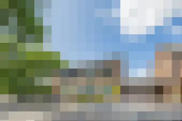 Binnenpad 41 Halsteren thumbnail 12