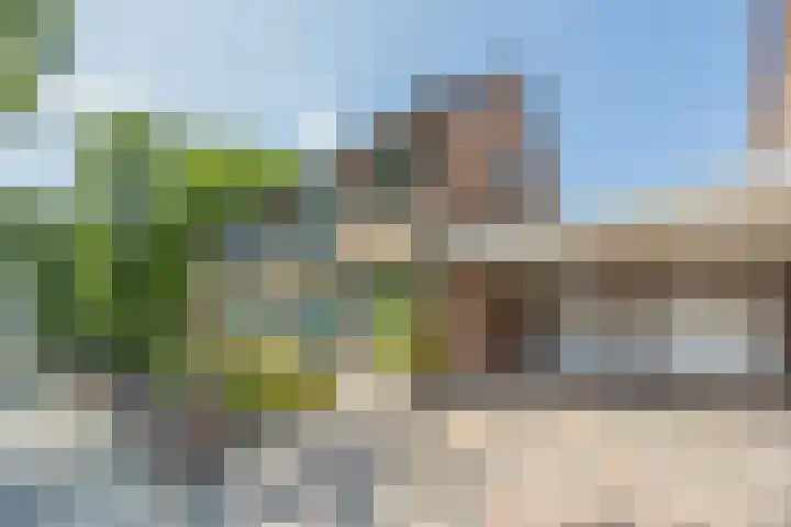 Binnenpad 41 Halsteren thumbnail 14