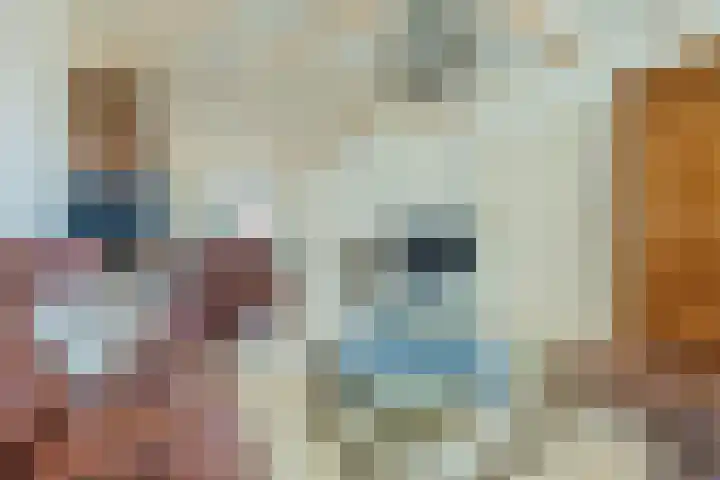 Binnenpad 41 Halsteren thumbnail 18