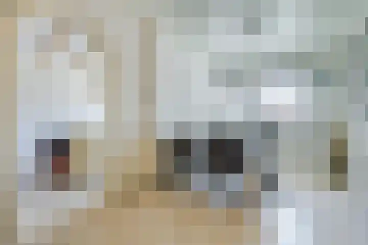 Binnenpad 41 Halsteren thumbnail 24