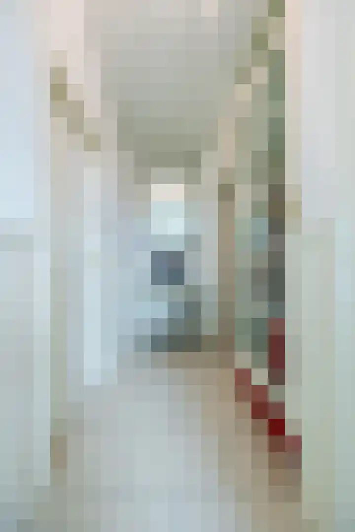 Binnenpad 41 Halsteren thumbnail 28