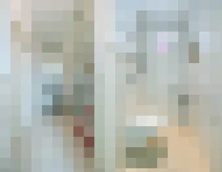 Binnenpad 41 Halsteren thumbnail 30