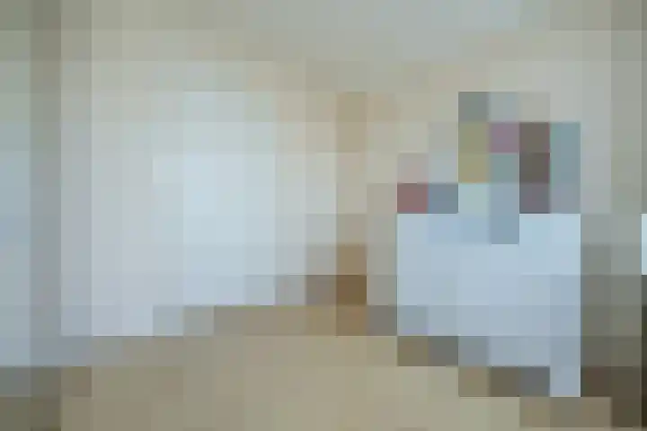 Binnenpad 41 Halsteren thumbnail 33