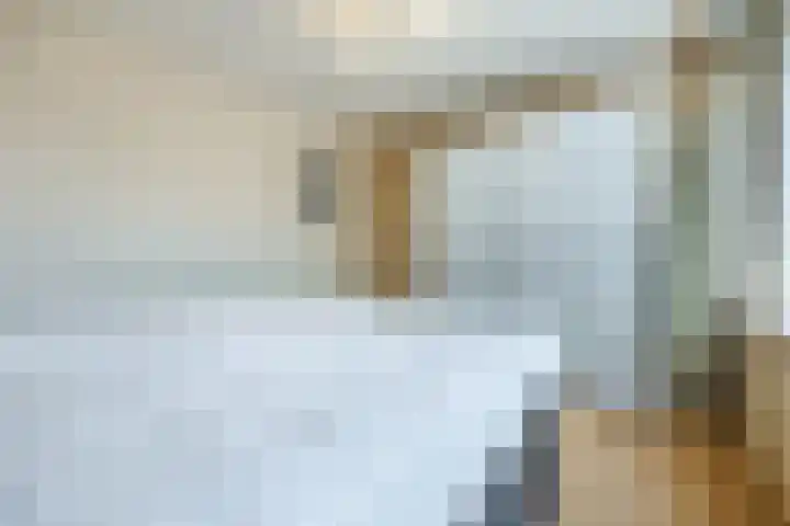 Binnenpad 41 Halsteren thumbnail 38