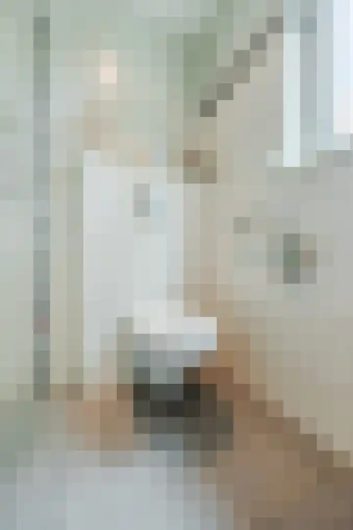 Binnenpad 41 Halsteren thumbnail 42