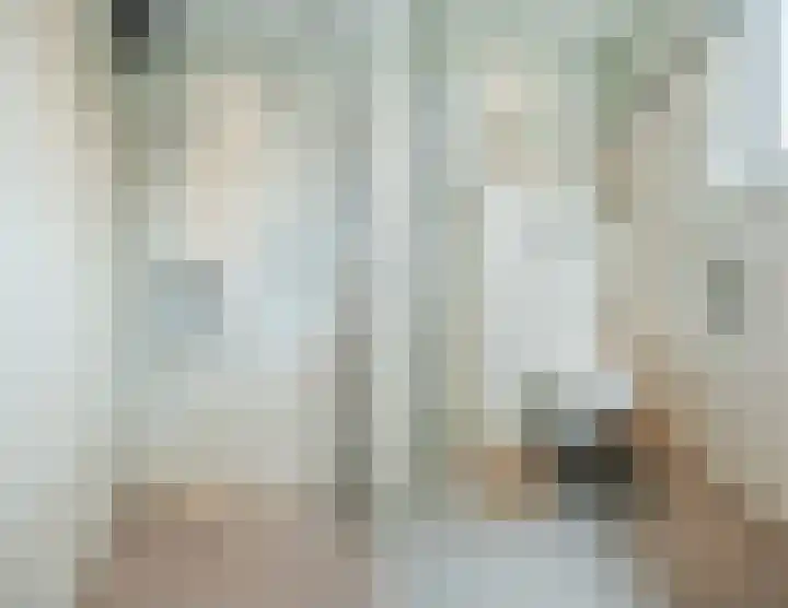Binnenpad 41 Halsteren thumbnail 43