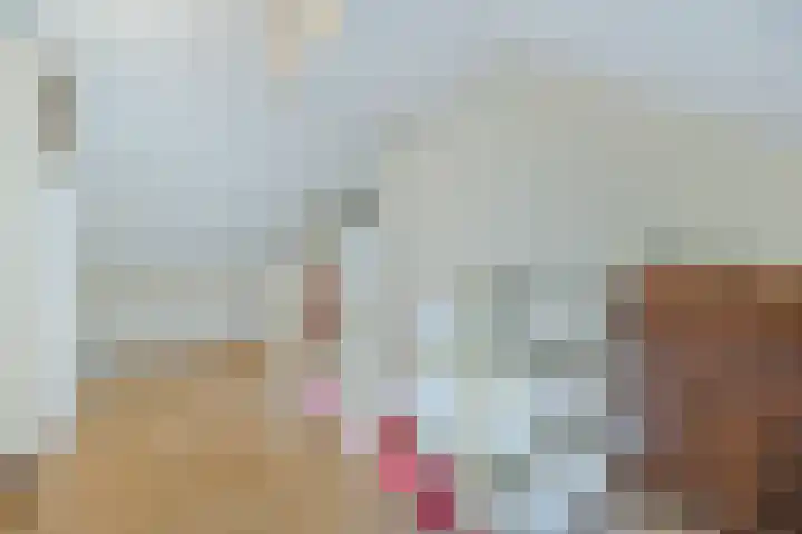 Binnenpad 41 Halsteren thumbnail 47