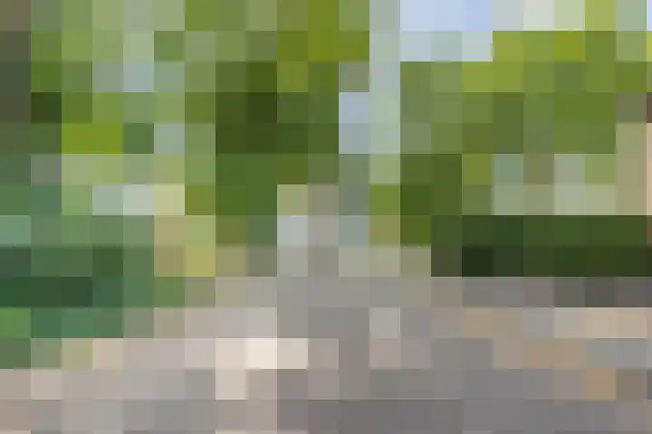 Binnenpad 41 Halsteren thumbnail 8