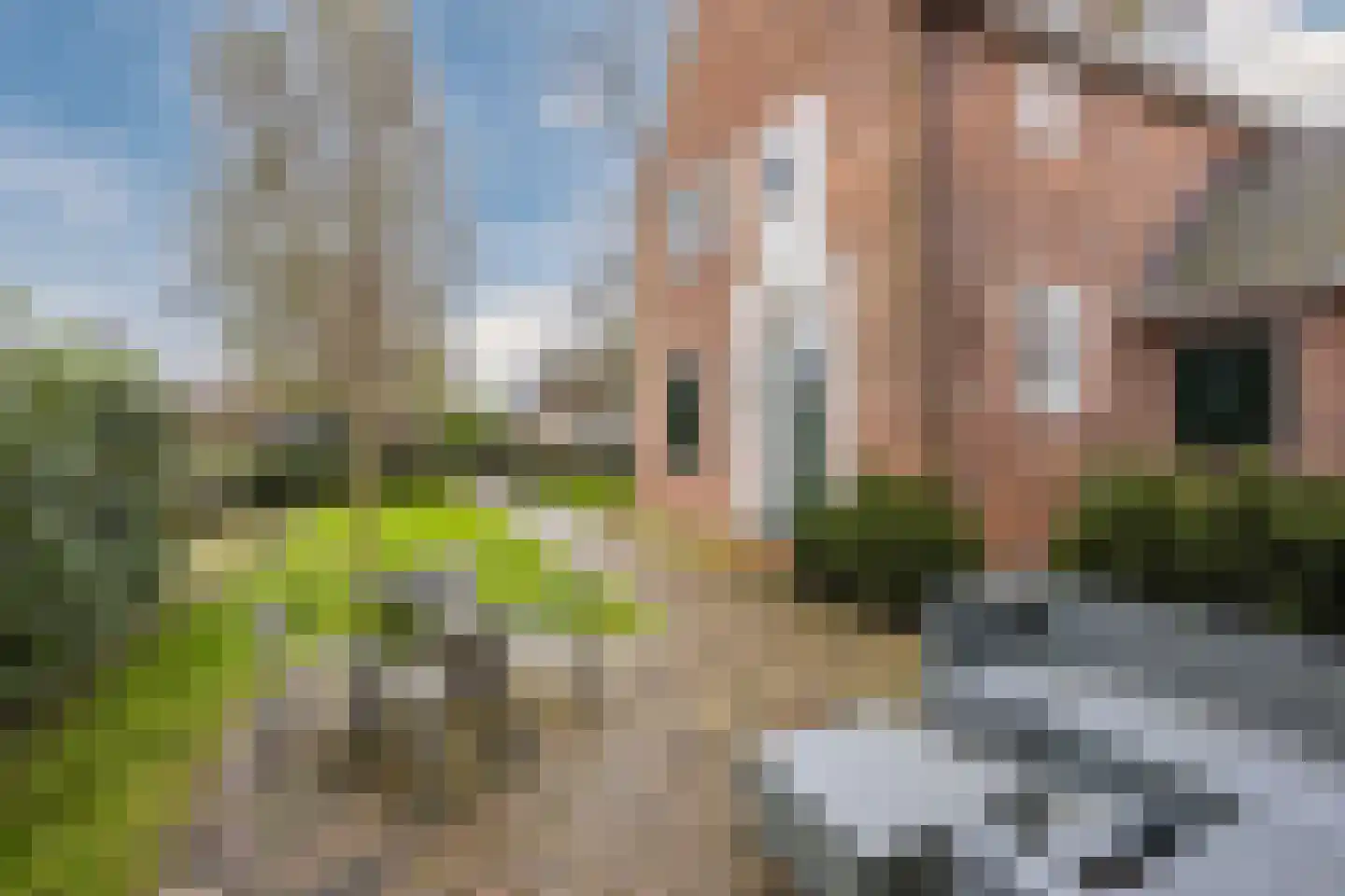 Binnenpad 44 Giethoorn thumbnail 10