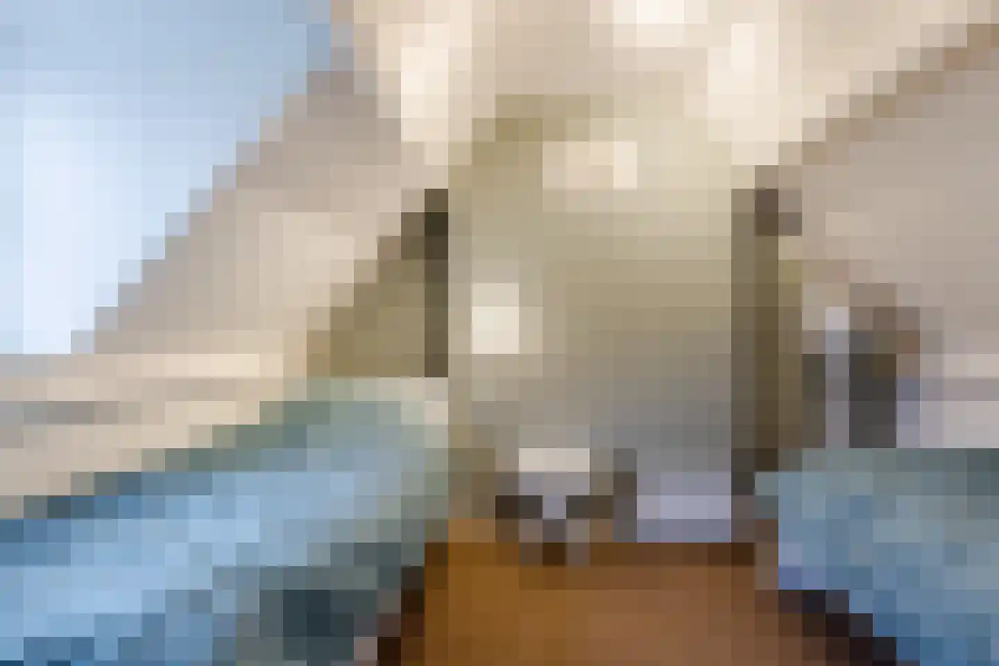 Binnenpad 44 Giethoorn thumbnail 33