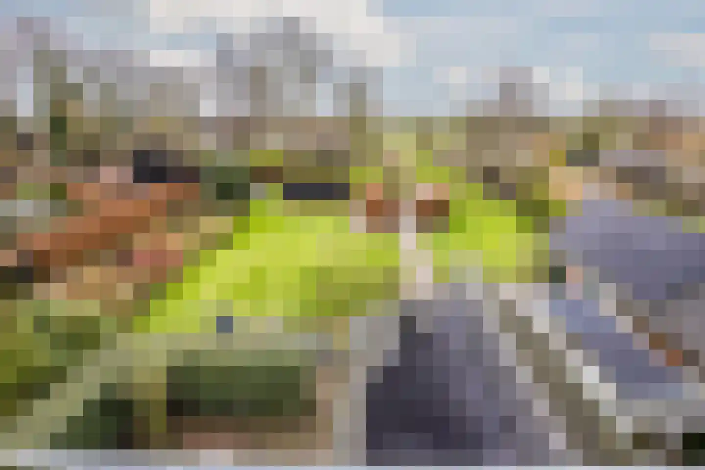 Binnenpad 44 Giethoorn thumbnail 37
