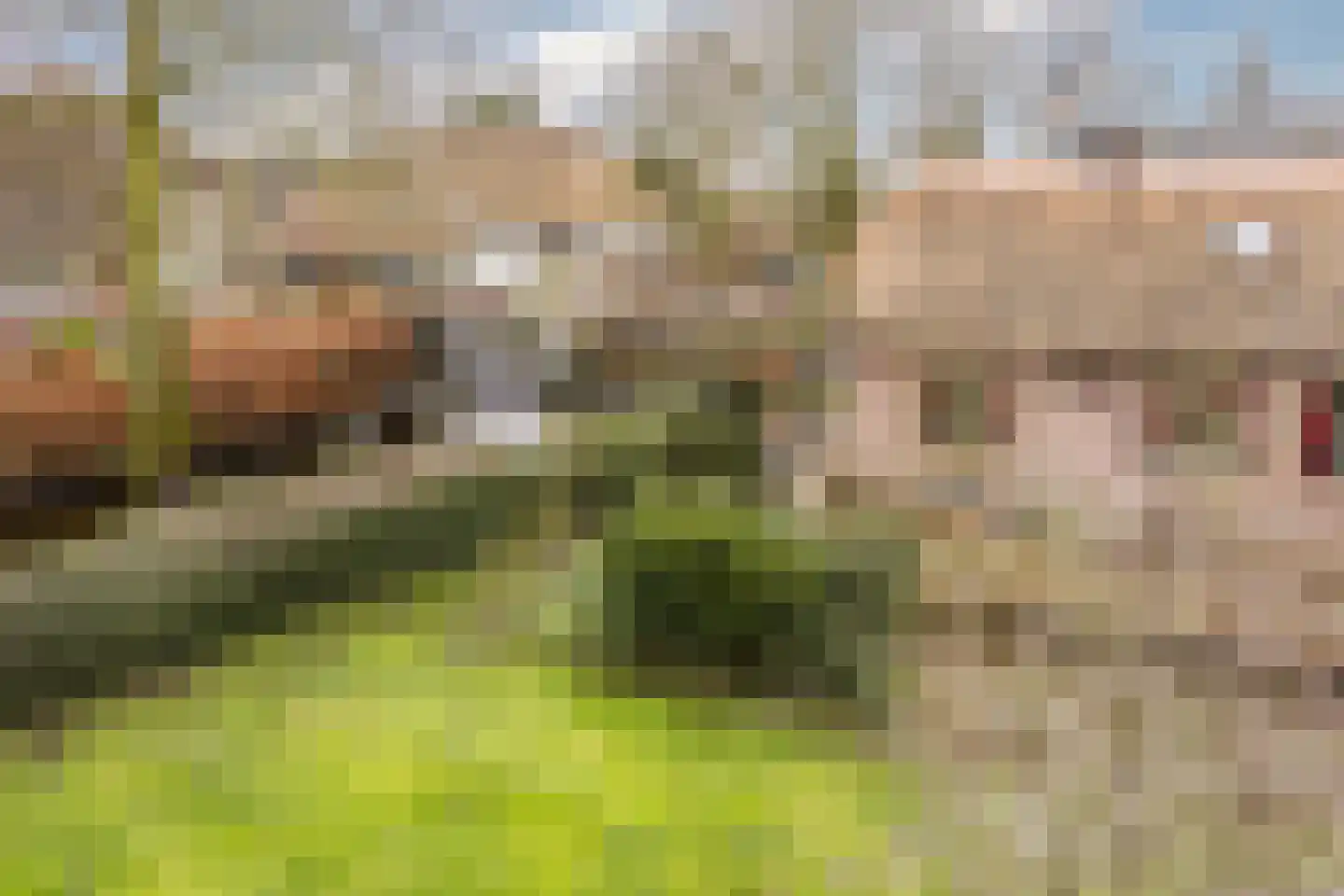 Binnenpad 44 Giethoorn thumbnail 38