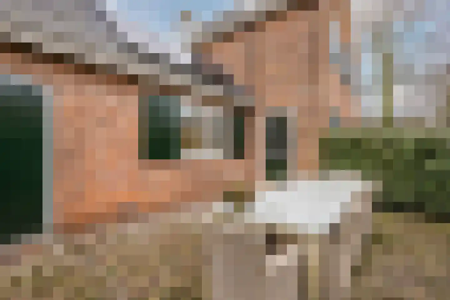 Binnenpad 44 Giethoorn thumbnail 42