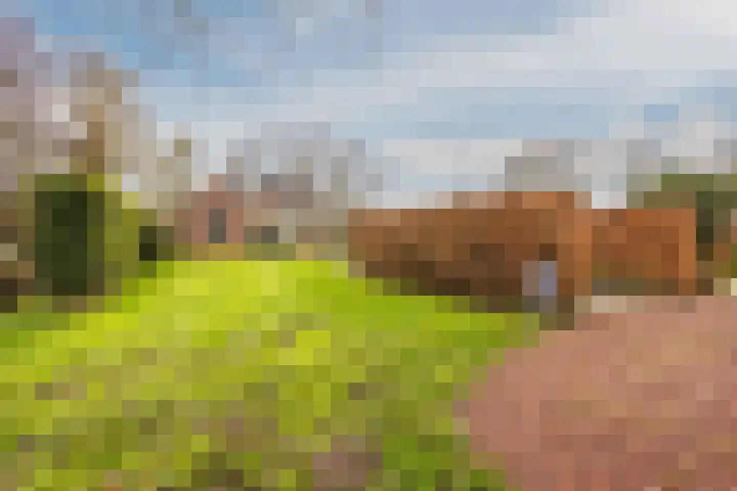 Binnenpad 44 Giethoorn thumbnail 47