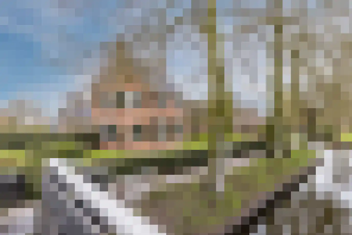 Binnenpad 44 Giethoorn thumbnail 5